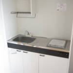 １DKのお部屋、収納力、シャンプードレッサー等、設備充実してます。 画像4