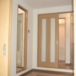 １DKのお部屋、収納力、シャンプードレッサー等、設備充実してます。 画像11