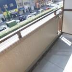 大通りに面し、生活至便です。 画像8