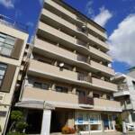 全室、大通りに面し、明るいお部屋。生活至便です。