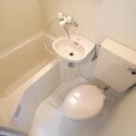 2wayアクセス。ユニット、セパレートタイプがあります。 画像4