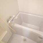 管理人さんのいるレディースマンション。 画像7