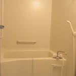 １DKのお部屋、収納力、シャンプードレッサー等、設備充実してます。 画像8